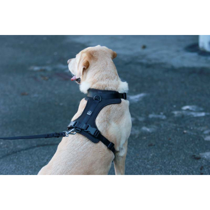 MOND COMFORT BLACKY OPRSNICA