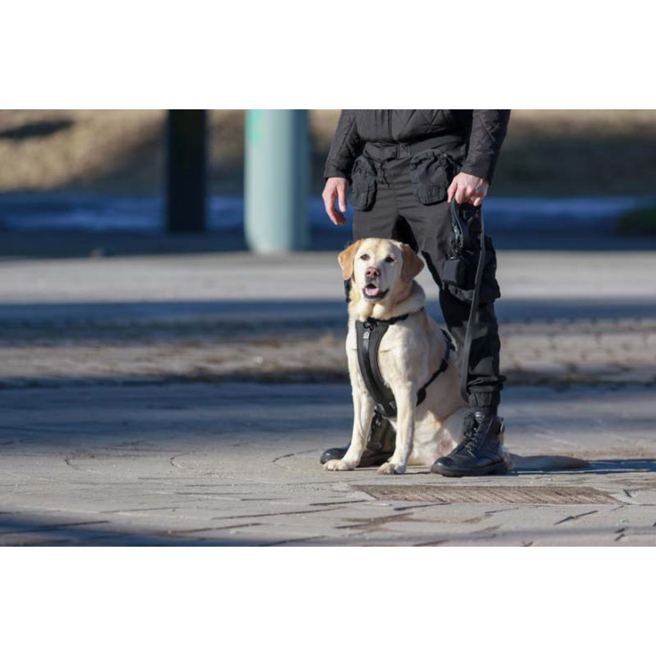 MOND COMFORT BLACKY OPRSNICA