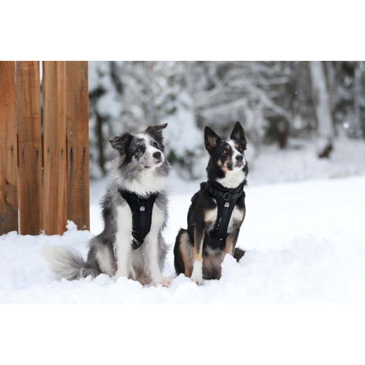 MOND COMFORT BLACKY OPRSNICA