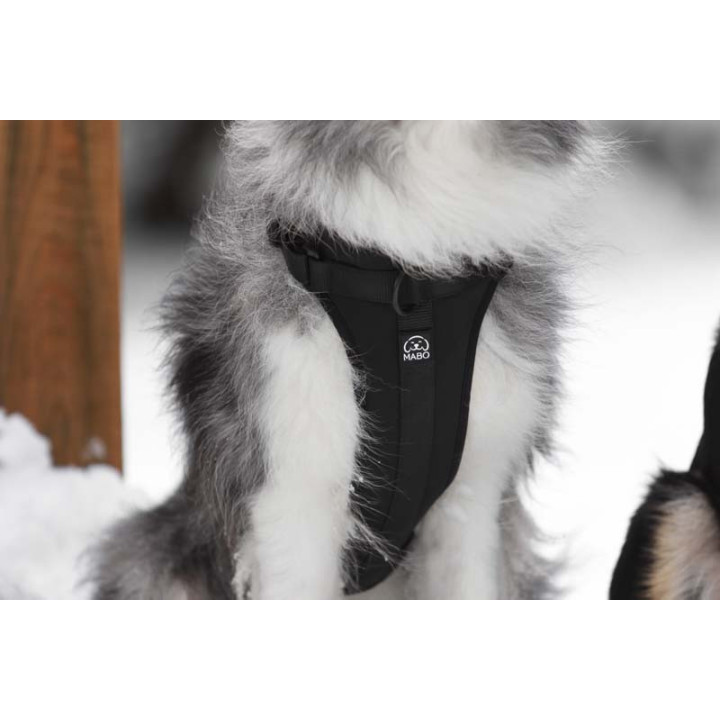 MOND COMFORT BLACKY OPRSNICA