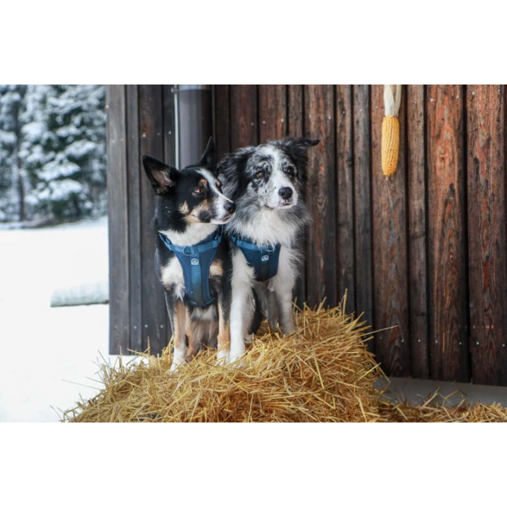 MOND COMFORT NAVY OPRSNICA