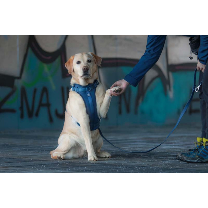 MOND COMFORT NAVY OPRSNICA