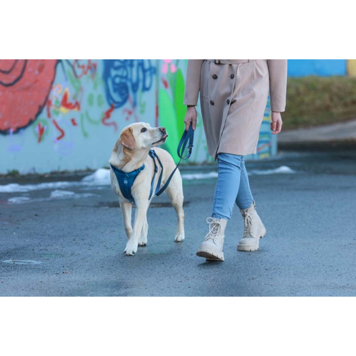 MOND COMFORT NAVY OPRSNICA