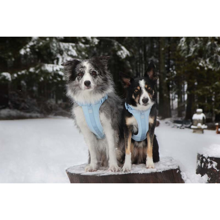 MOND COMFORT SKY OPRSNICA