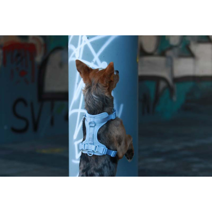 MOND COMFORT SKY OPRSNICA