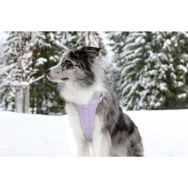 MOND COMFORT VIOLET OPRSNICA