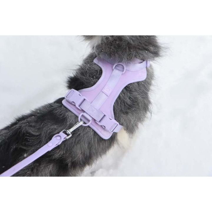 MOND COMFORT VIOLET OPRSNICA