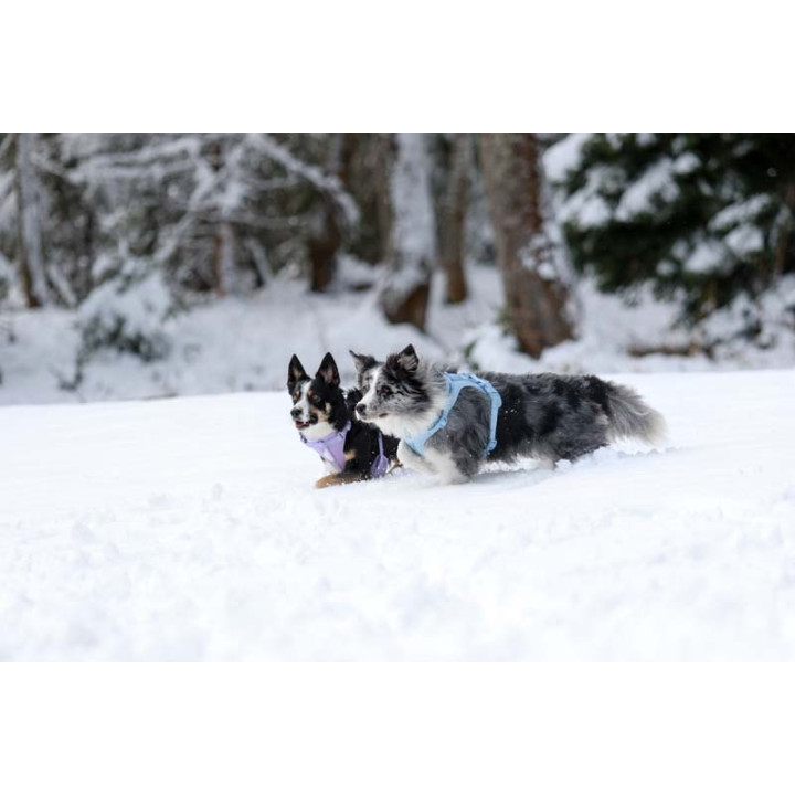 MOND COMFORT VIOLET OPRSNICA