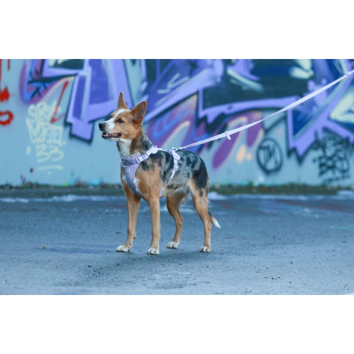 MOND COMFORT VIOLET OPRSNICA