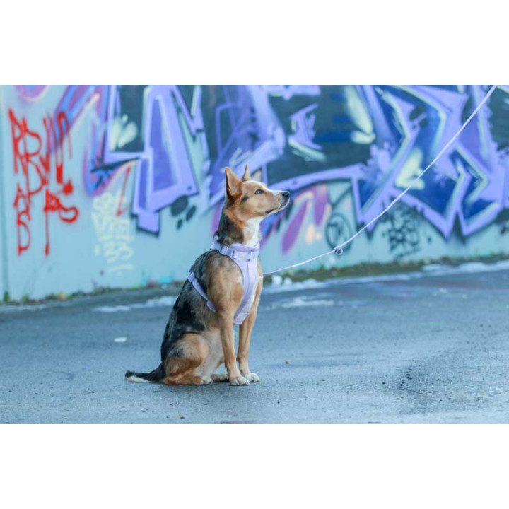 MOND COMFORT VIOLET OPRSNICA