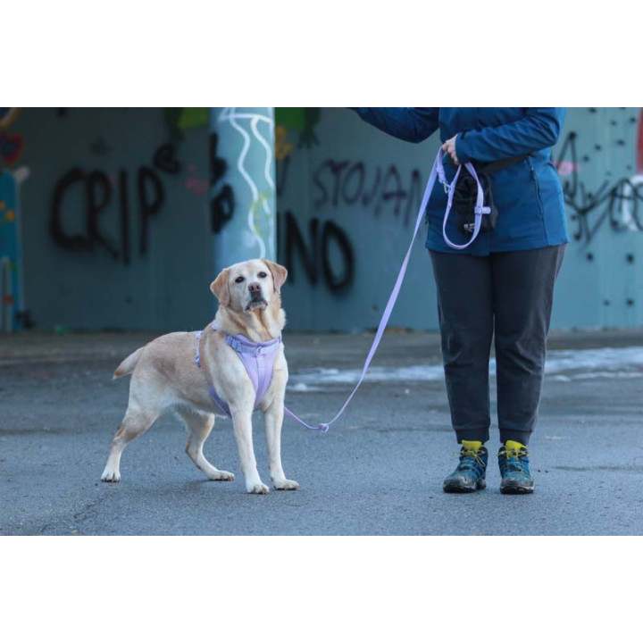 MOND COMFORT VIOLET OPRSNICA