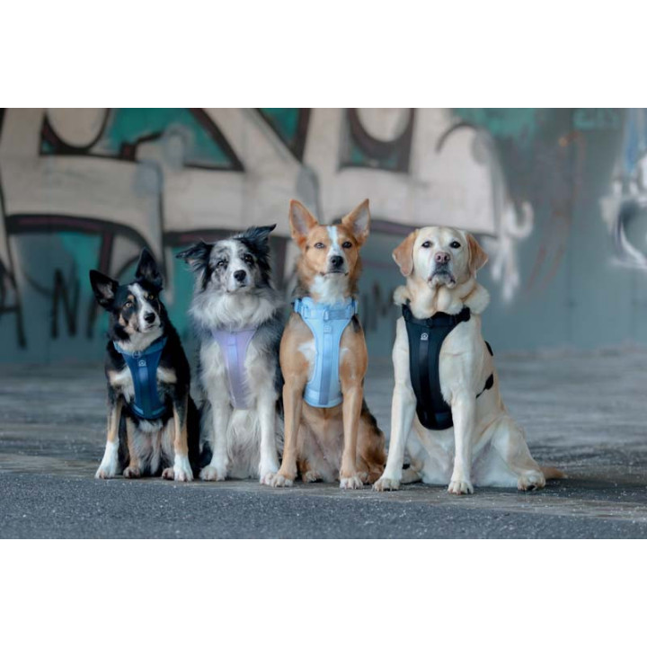 MOND COMFORT VIOLET OPRSNICA