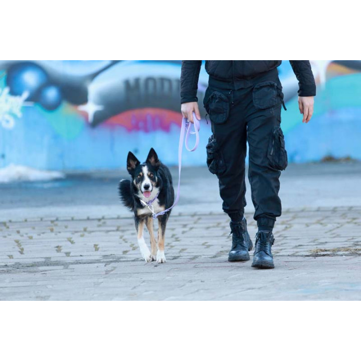 MOND Waterproof Violet Povodec - Vijolični klasični povodec 5v1 | Paw Shop