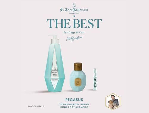 Kaj je naloga pasjega šampona?